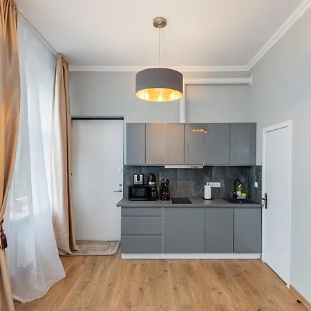 Elegant Center With Free Parking By Polo Aparments * Kaunas