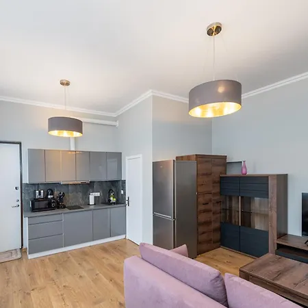 Elegant Center With Free Parking By Polo Aparments Kaunas