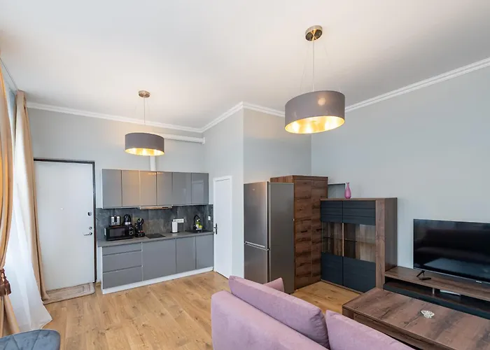 Elegant Center With Free Parking By Polo Aparments Kaunas