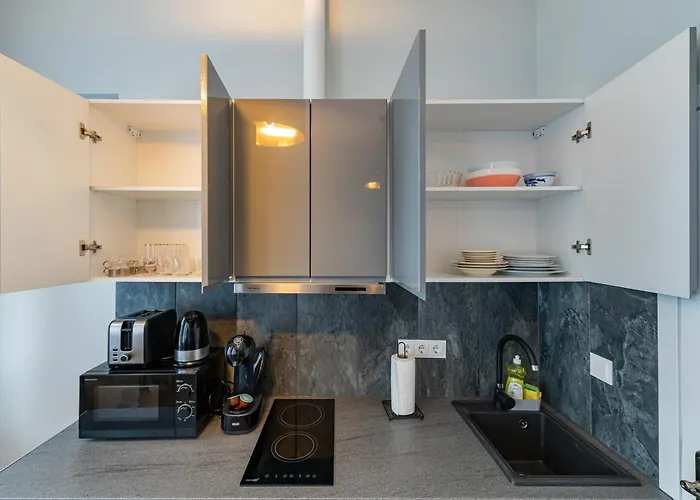 Elegant Center With Free Parking By Polo Aparments Kaunas